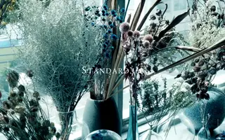 Standard Inc. homepage website preview