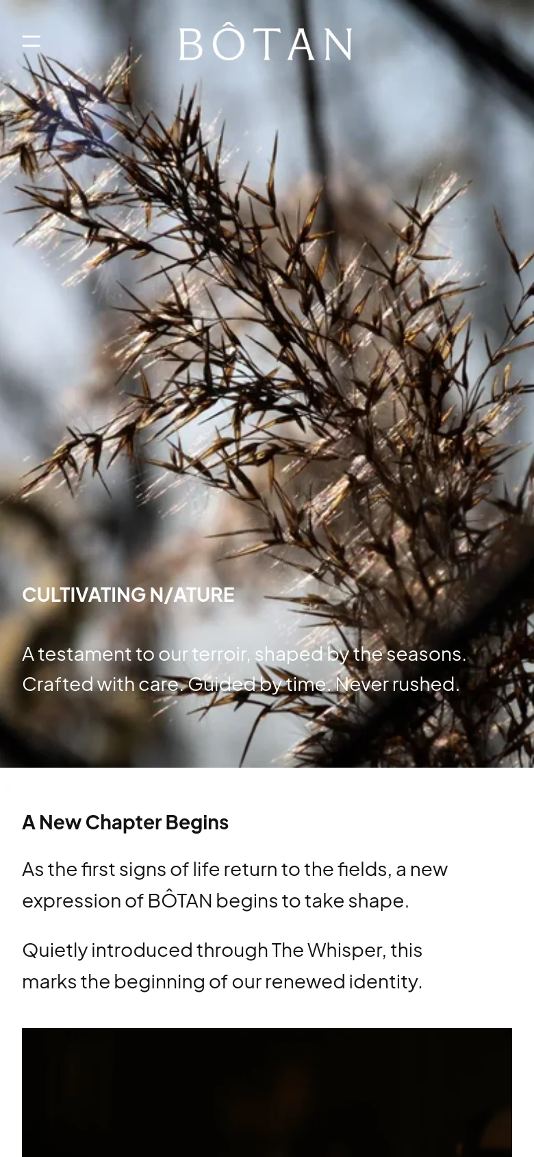 The mobile version presents a vertically stacked layout starting with a full-width hero image of golden grasses and the 'CULTIVATING N/ATURE' headline. A hamburger menu icon replaces the desktop navigation bar, and the 'A New Chapter Begins' section follows below with text and a 'Read More' link.
