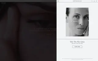 LESSE homepage website preview