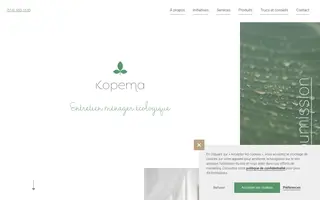 Kopema homepage website preview