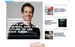 Input homepage website preview