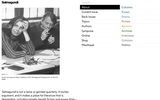 Salmagundi homepage website preview