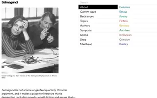 Salmagundi homepage website preview