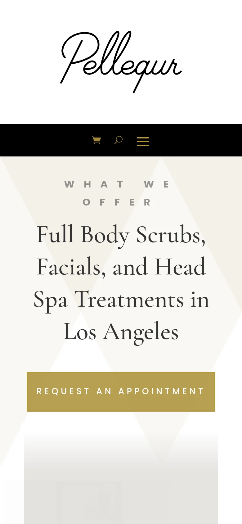 The mobile version simplifies the layout into a single vertical column, centering the 'What We Offer' text and the large headline. The hero image is removed from the top view, focusing instead on the gold 'Request an Appointment' button. The navigation bar is replaced by a hamburger menu icon, a search icon, and a shopping cart icon on a black background.