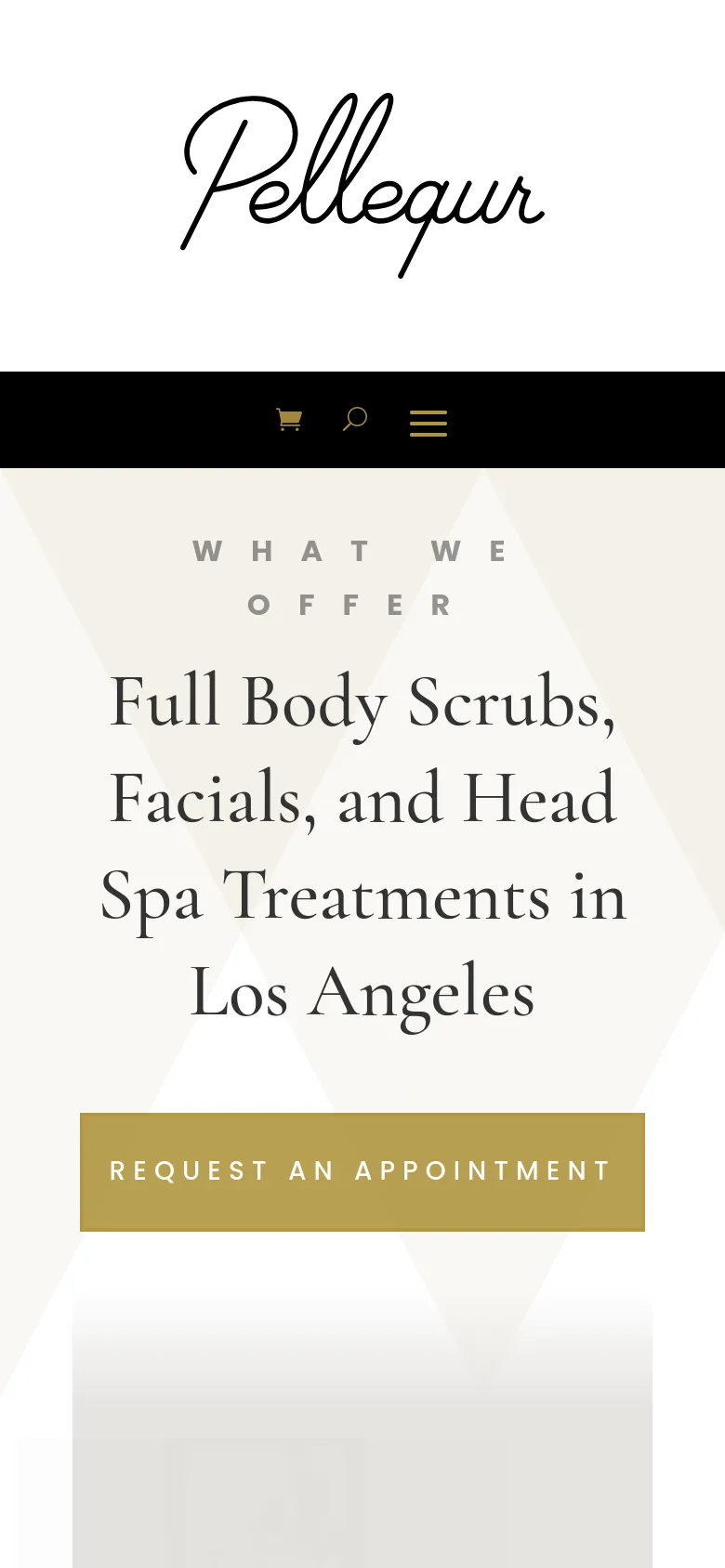 The mobile version simplifies the layout into a single vertical column, centering the 'What We Offer' text and the large headline. The hero image is removed from the top view, focusing instead on the gold 'Request an Appointment' button. The navigation bar is replaced by a hamburger menu icon, a search icon, and a shopping cart icon on a black background.