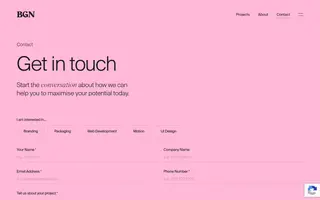 BGN homepage website preview