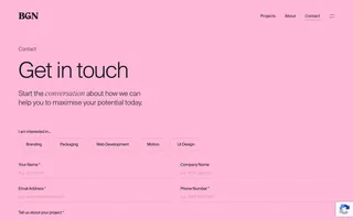 BGN homepage website preview