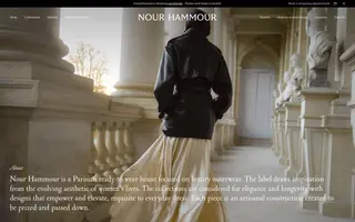Nour Hammour homepage website preview