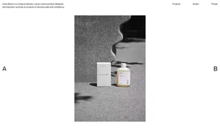 Anna Bosch homepage website preview