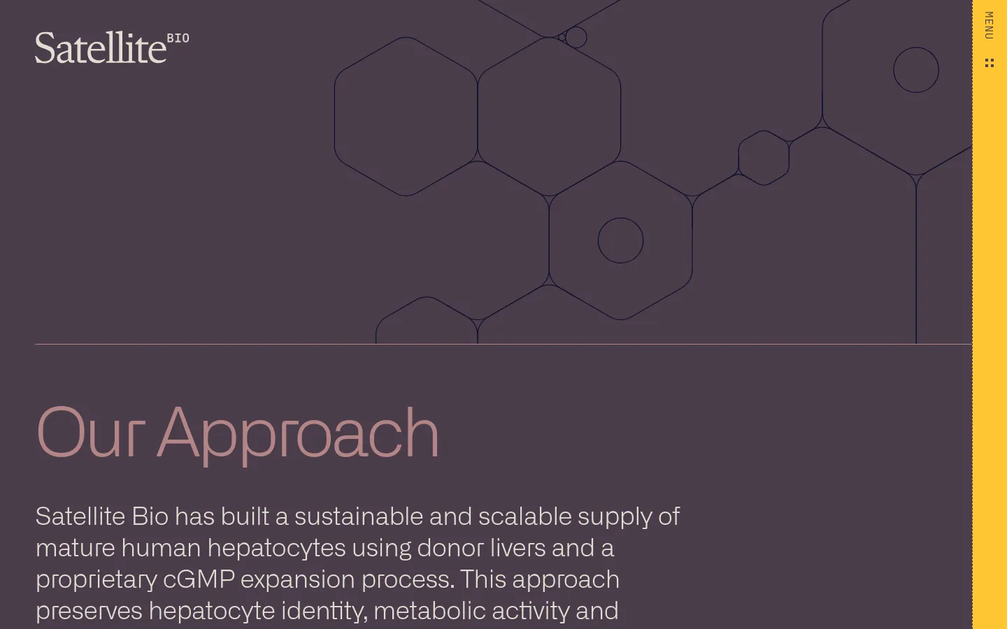 The desktop page features a dark purple background with a large, minimalist hero section containing thin-lined geometric hexagonal patterns and circles. The headline 'Our Approach' is displayed in large, light-colored text above a paragraph of white body text, with the Satellite Bio logo in the top left corner.