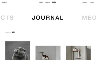 RINN Inc. homepage website preview