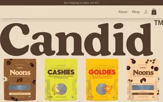 Candid homepage website preview