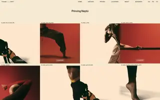 Concept Barre homepage website preview