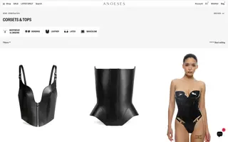 Anoeses homepage website preview