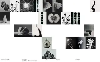 Catalogued Works homepage website preview