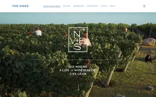 The Vines homepage website preview