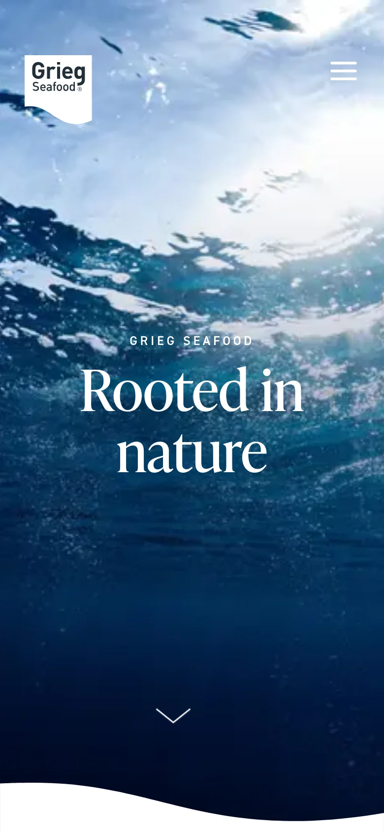 The mobile version displays a vertically oriented view of the underwater hero image with the Grieg Seafood logo in a white speech bubble at the top left. The navigation is condensed into a hamburger menu icon at the top right, and the headline 'Rooted in nature' is centered prominently in the middle of the screen.