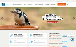 LPO homepage website preview