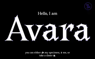 Avara homepage website preview