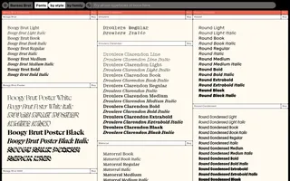 Bureau Brut homepage website preview