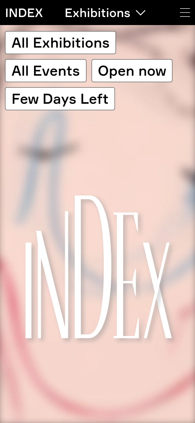 The mobile version displays the large 'INDEX' logo prominently over the abstract background, scaled to fit the vertical screen. The navigation bar remains at the top with the logo and a hamburger menu, while the filter buttons are stacked vertically to accommodate the narrower width.