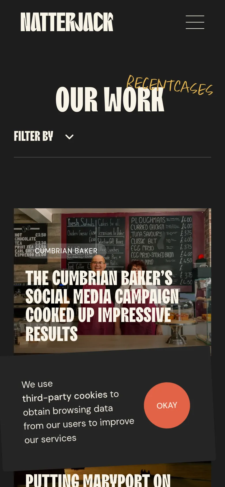 Natterjack Marketing Portfolio mobile website screenshot