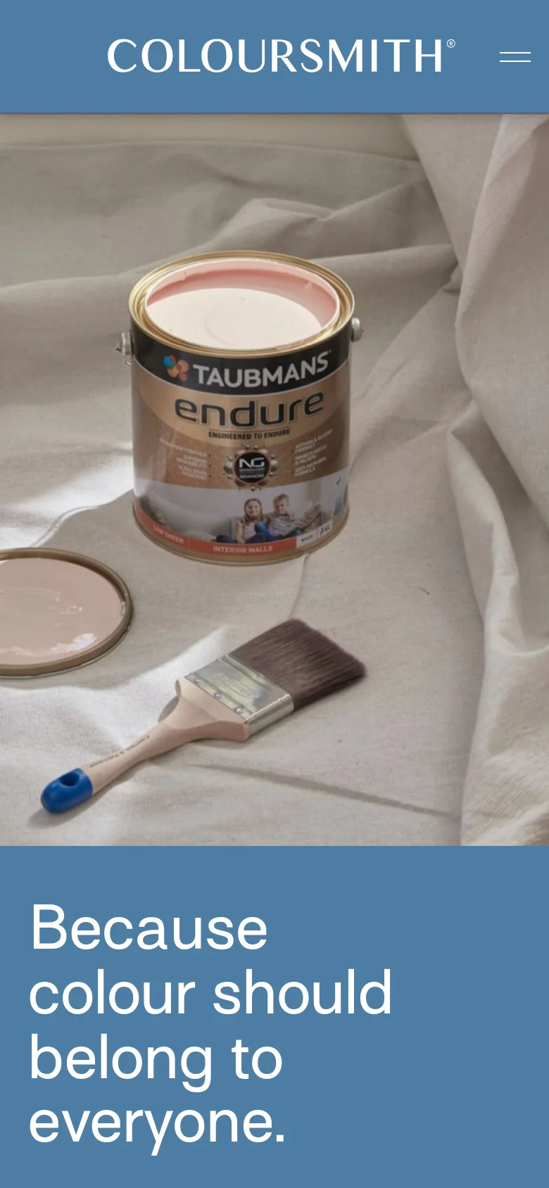 The mobile version maintains the blue header and large hero image of the paint can and brush, but the layout is vertically compressed. The headline 'Because colour should belong to everyone' appears in a larger font size within the blue section at the bottom of the screen.