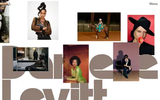 Danielle Levitt homepage website preview