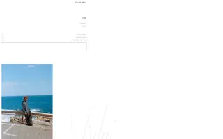 Willem Ardui homepage website preview
