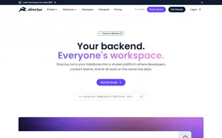 Directus homepage website preview