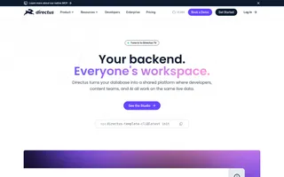 Directus homepage website preview