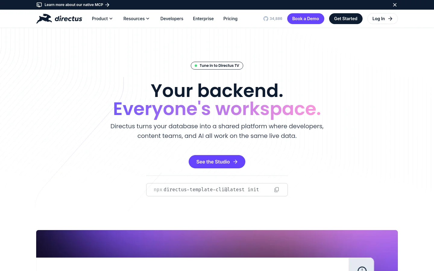 The Directus homepage features a clean, light background with a large hero headline reading 'Your backend. Everyone's workspace.' A purple 'See the Studio' call-to-action button sits below the text, followed by a code snippet box. The navigation bar includes links for Product, Resources, Developers, Enterprise, and Pricing, alongside a 'Book a Demo' button and a 'Log In' option.