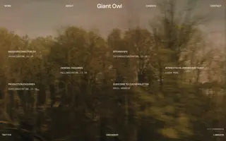 Giant Owl homepage website preview