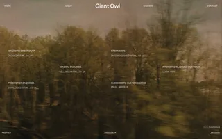 Giant Owl homepage website preview