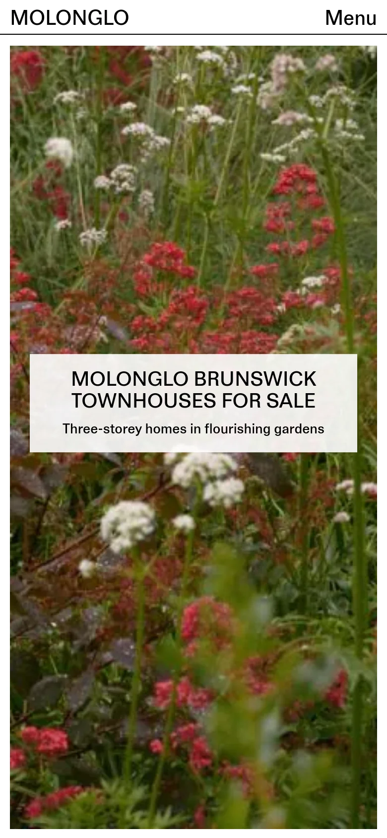 The mobile version displays the same garden hero image and central text overlay, but the layout is vertically oriented to fit a narrow screen. The top navigation is condensed into a 'Menu' button on the right, while the brand name 'MOLONGLO' remains on the left.