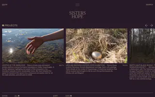 Sisters Hope homepage website preview