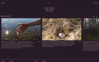Sisters Hope homepage website preview