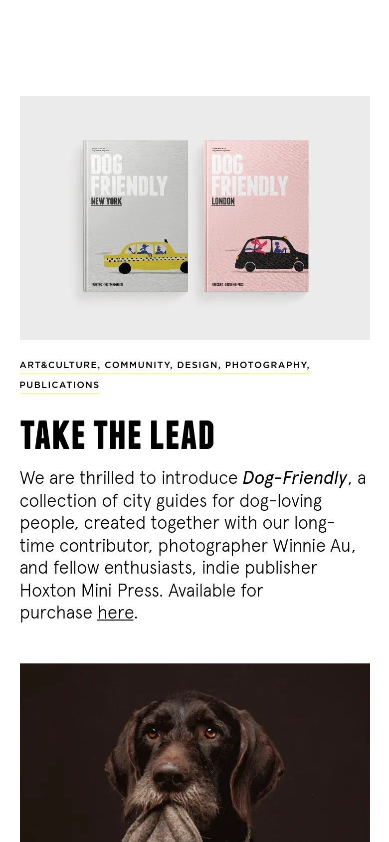 The mobile version presents a vertically stacked layout, starting with the 'Dog Friendly' book cover image at the top. The headline 'TAKE THE LEAD' and introductory text follow underneath, optimized for a single-column reading experience on a narrow screen.