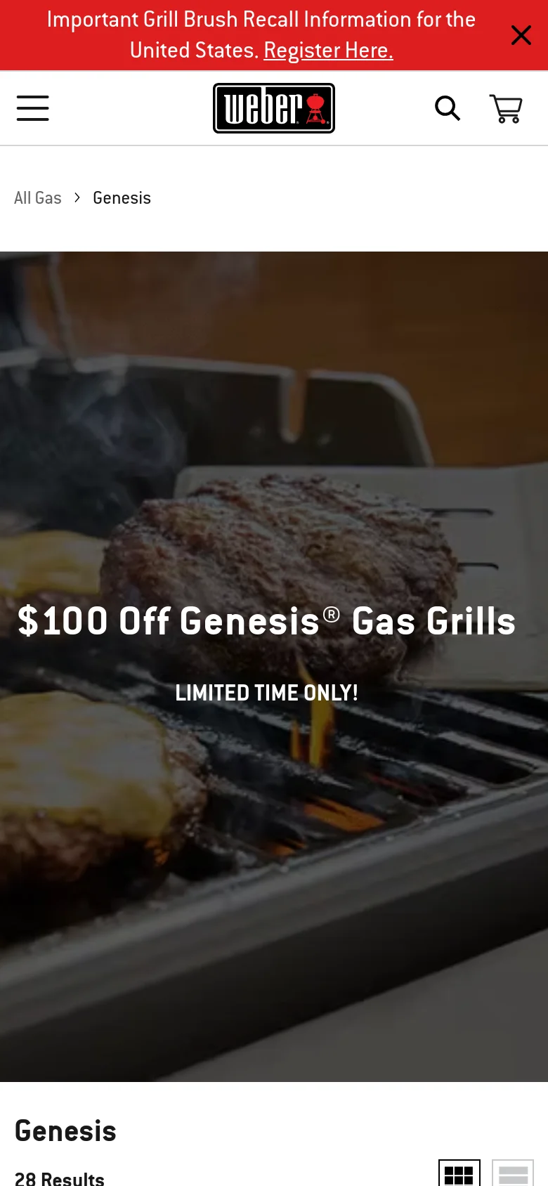 The mobile version presents a vertically stacked layout, starting with a full-width hero image of grilling food and the '$100 Off' promotional text. The sidebar filters from the desktop version are condensed, and the product grid is simplified to show fewer items per row to accommodate the smaller screen. The top navigation includes a hamburger menu, search icon, and shopping cart icon for easier mobile access.