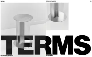 TERMS homepage website preview