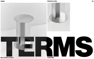 TERMS homepage website preview