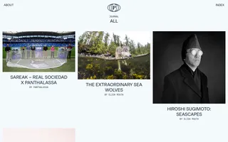 Panthalassa homepage website preview