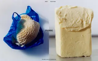 Pudrig homepage website preview