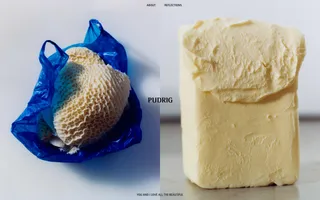 Pudrig homepage website preview