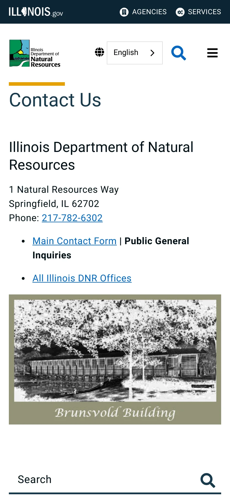 The mobile version simplifies the layout with a condensed header containing a hamburger menu, search icon, and language selector. The content follows a single-column vertical stack, showing the 'Contact Us' headline, contact details, and the Brunsvold Building image, with a prominent search bar at the bottom.