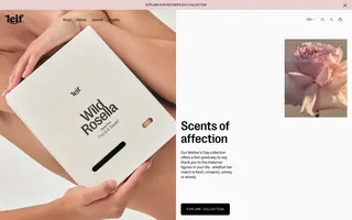 Leif homepage website preview