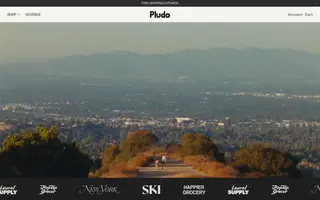 Pludo homepage website preview