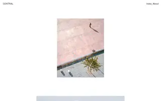 Central homepage website preview