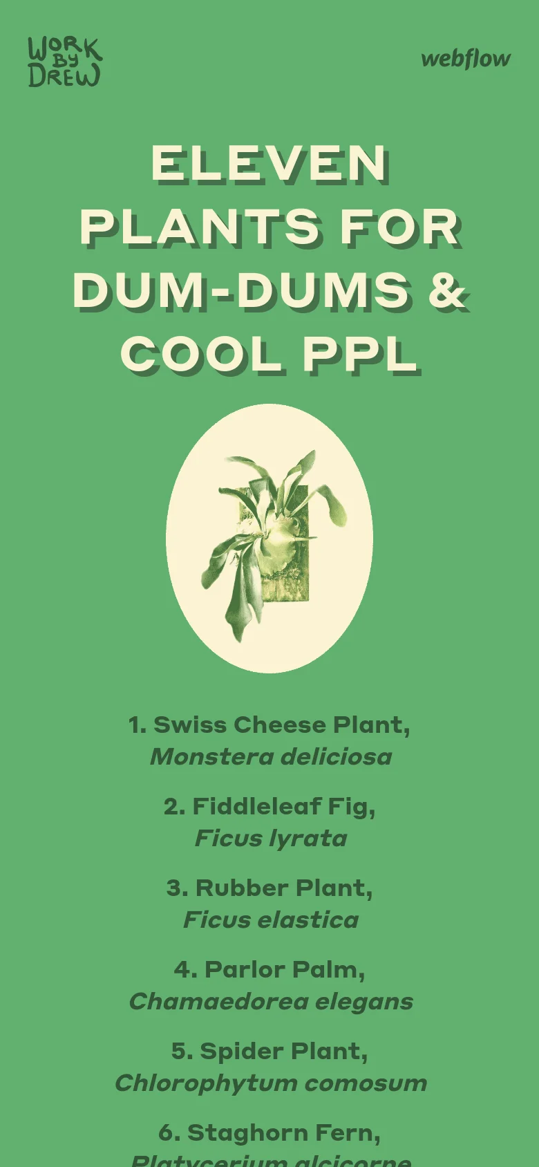 The mobile version maintains the green background and bold cream headline, but the layout shifts to a vertical stack. The large headline appears at the top, followed by a single circular plant image, and then the numbered list of plants continues down the screen. The side-by-side circular images from the desktop version are replaced by a single centered image to fit the narrow viewport.