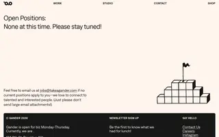 Gander homepage website preview